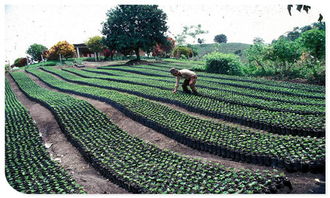 北票市聲測管報(bào)價(jià) 廠家